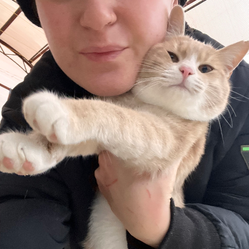 Tahin - Sahiplenme İlanı