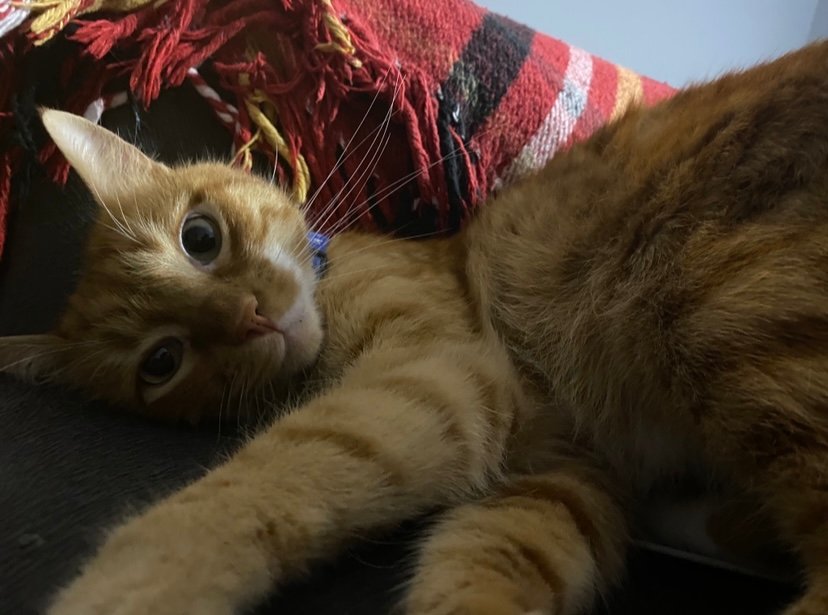 6 Yıllık Yol Arkadaşım ...