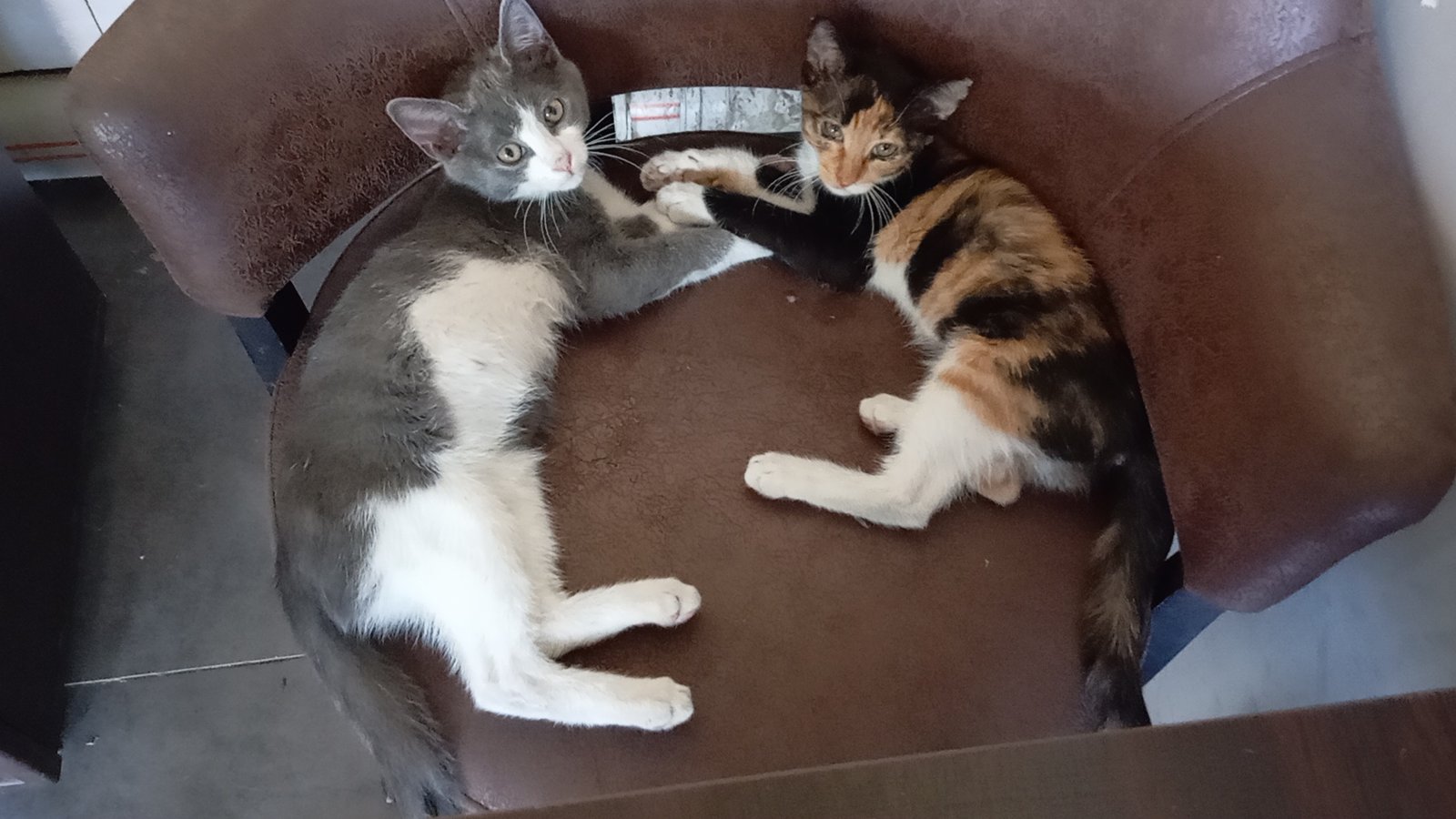 Bu iki güzel kardeşe güz...